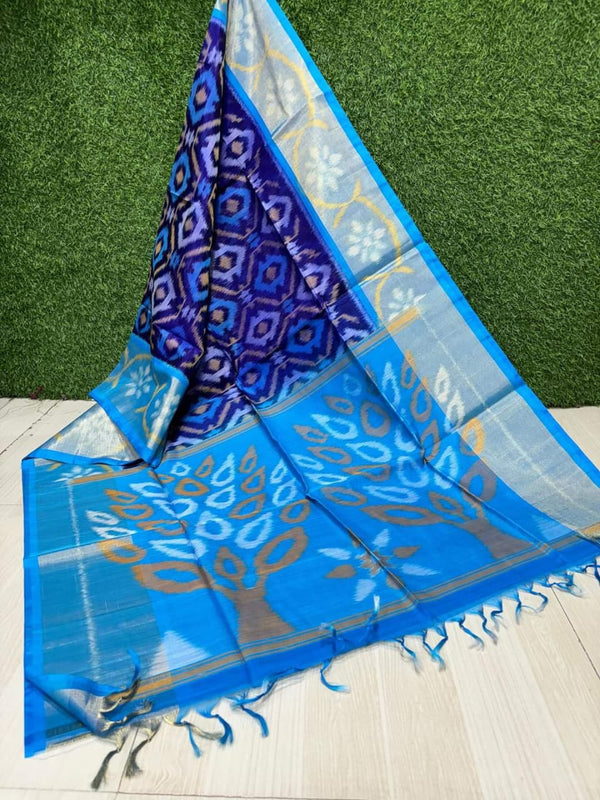 Pochampalli Weave Dolla Silk Saree