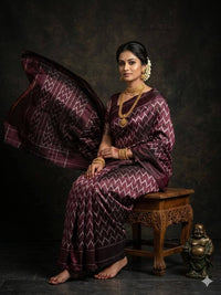 Pochampalli Dolla Silk Ethnic Saree