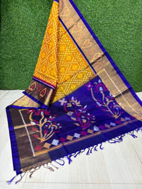 Pochampalli Dolla Silk Ethnic Saree