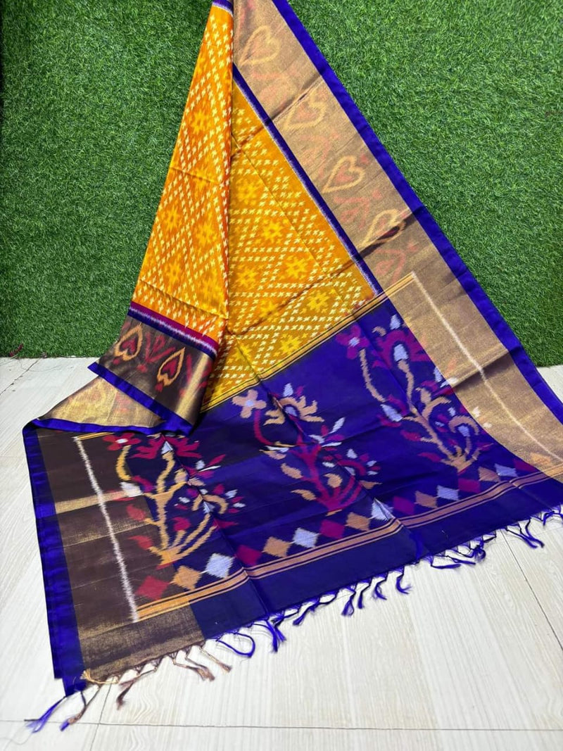 Pochampalli Dolla Silk Ethnic Saree