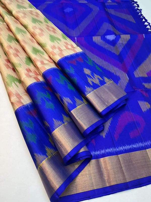 Pochampalli Print Dolla Silk Saree