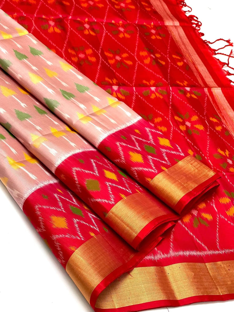 Pochampalli Dolla Silk Saree