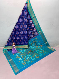 Pochampalli Weave Dolla Silk Saree