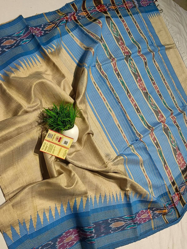Pochampalli Weave Dolla Silk Saree