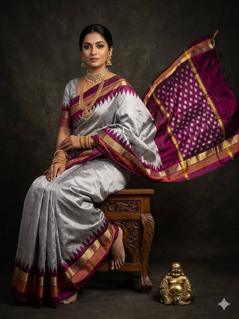 Pochampalli Dolla Silk Saree