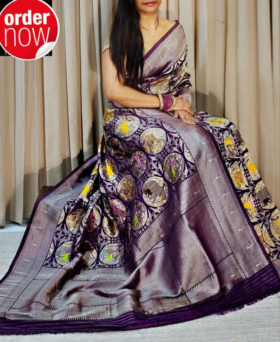 Pochampalli Dolla Silk Designer Saree
