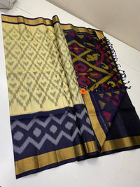 Pochampalli Dolla Silk Ethnic Saree