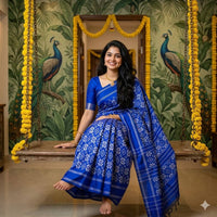 Pochampalli Weave Dolla Silk Saree