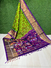 Pochampalli Weave Dolla Silk Saree