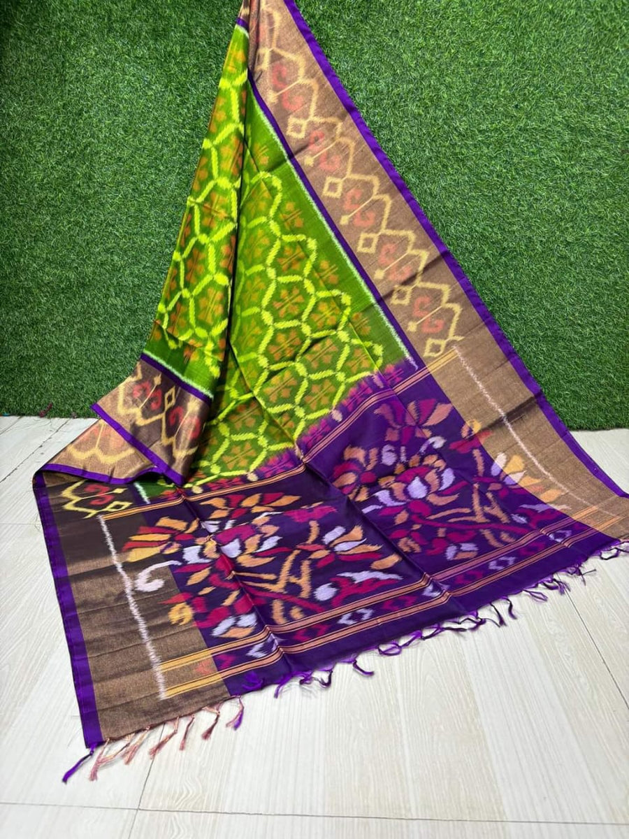Pochampalli Weave Dolla Silk Saree