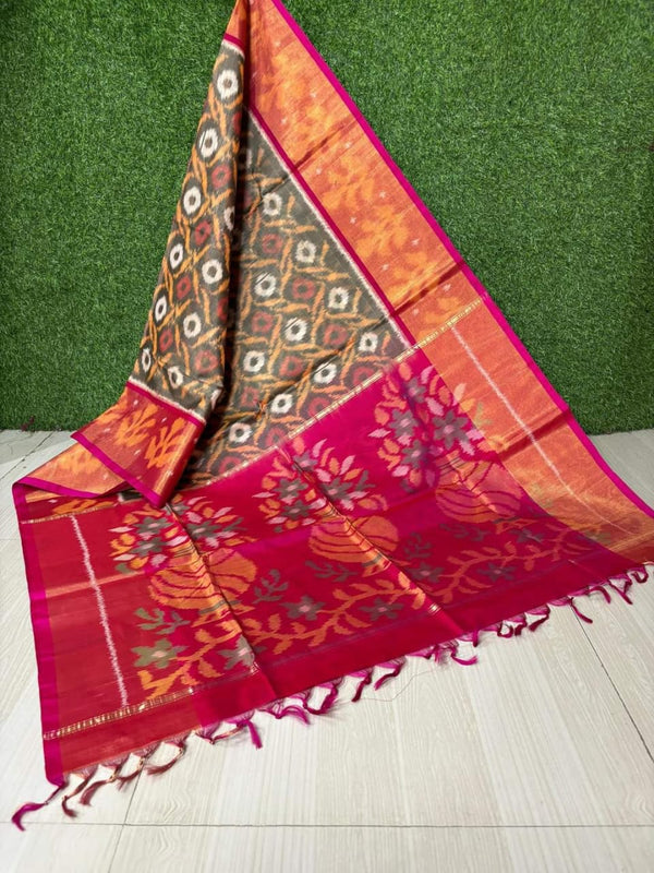 Pochampalli Dolla Silk Ethnic Saree