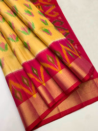 Pochampalli Weave Dolla Silk Saree