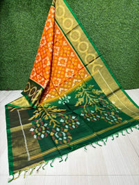 Pochampalli Weave Dolla Silk Saree